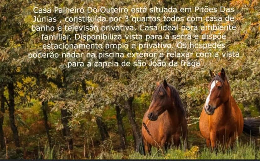 Fraga De Pitoes Pitoes das Junias